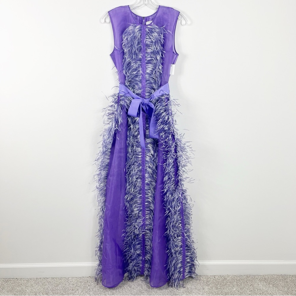 Huishan Zhang Beau Ostrich Feather Embellished Silk Organza Gown Size 6 NWT - Picture 3 of 10